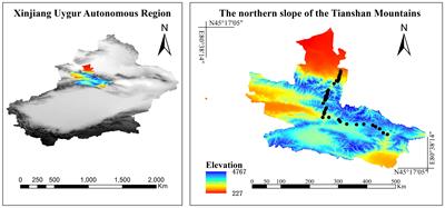 Leaf carbon, nitrogen, and phosphorus ecological stoichiometry of grassland ecosystems along 2,600-m altitude gradients at the Northern slope of the Tianshan Mountains